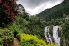 2cfa5f6d581278d33b1fb37b267f8f6d