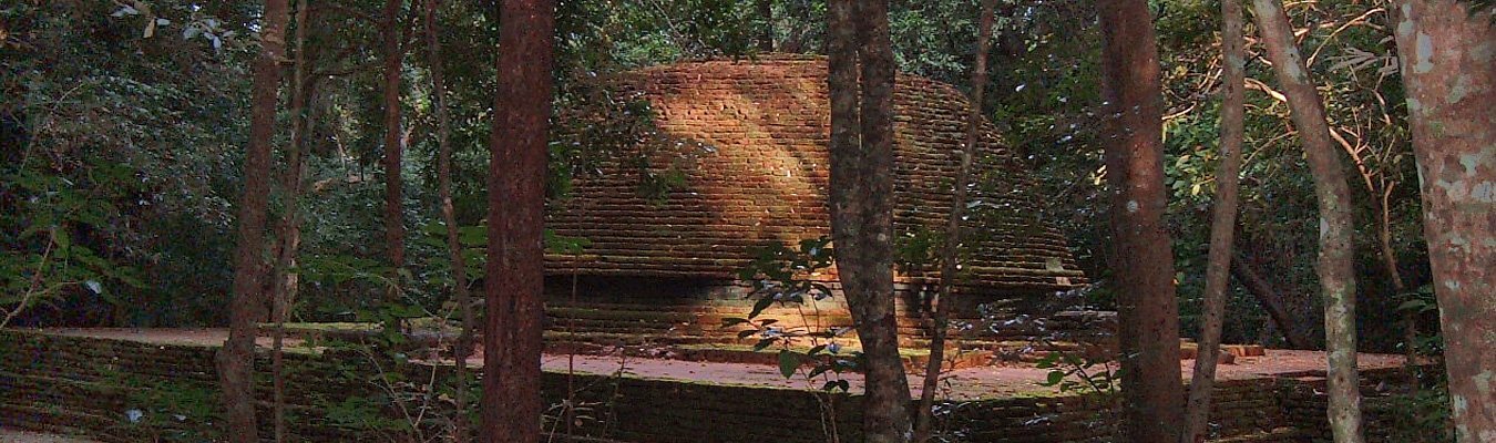Namal uyana stupa inside the forest