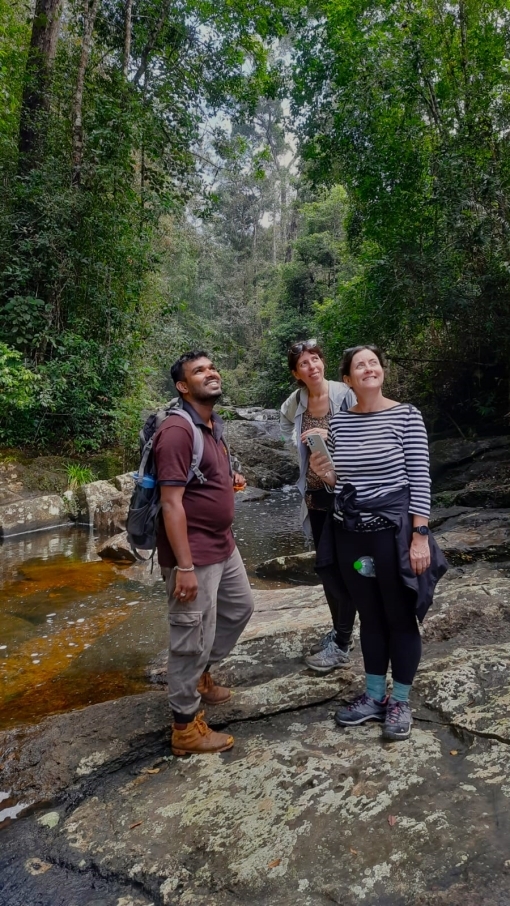 Sinharaja Rain Forest Sinharaja Rain Forest