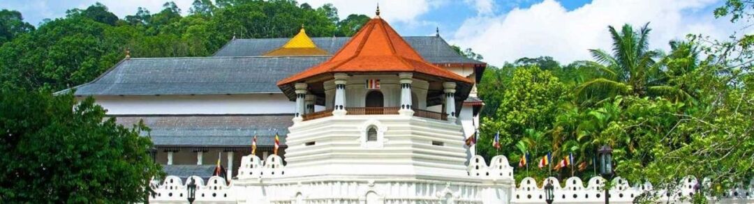 tooth relic temple footer tooth relic temple footer