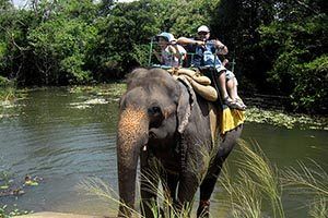 elephant_riding_habarana_6