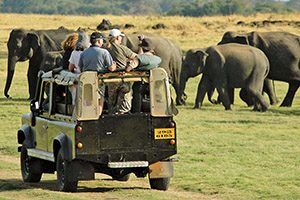 Jeep-Safari-in-Yala-National-Park