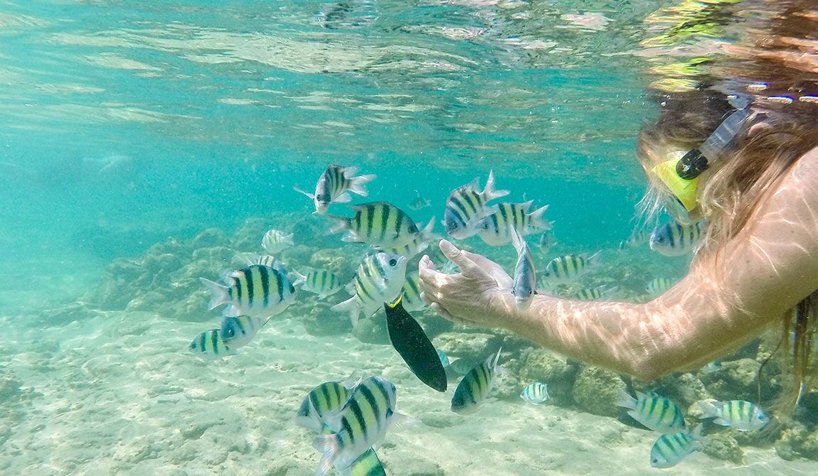 Hikkaduwa Beach Snorkeling