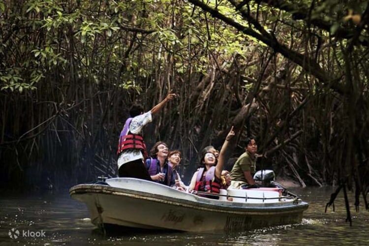 Madu River Safari