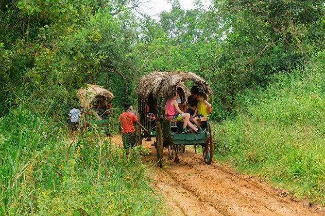 bullock cart rides