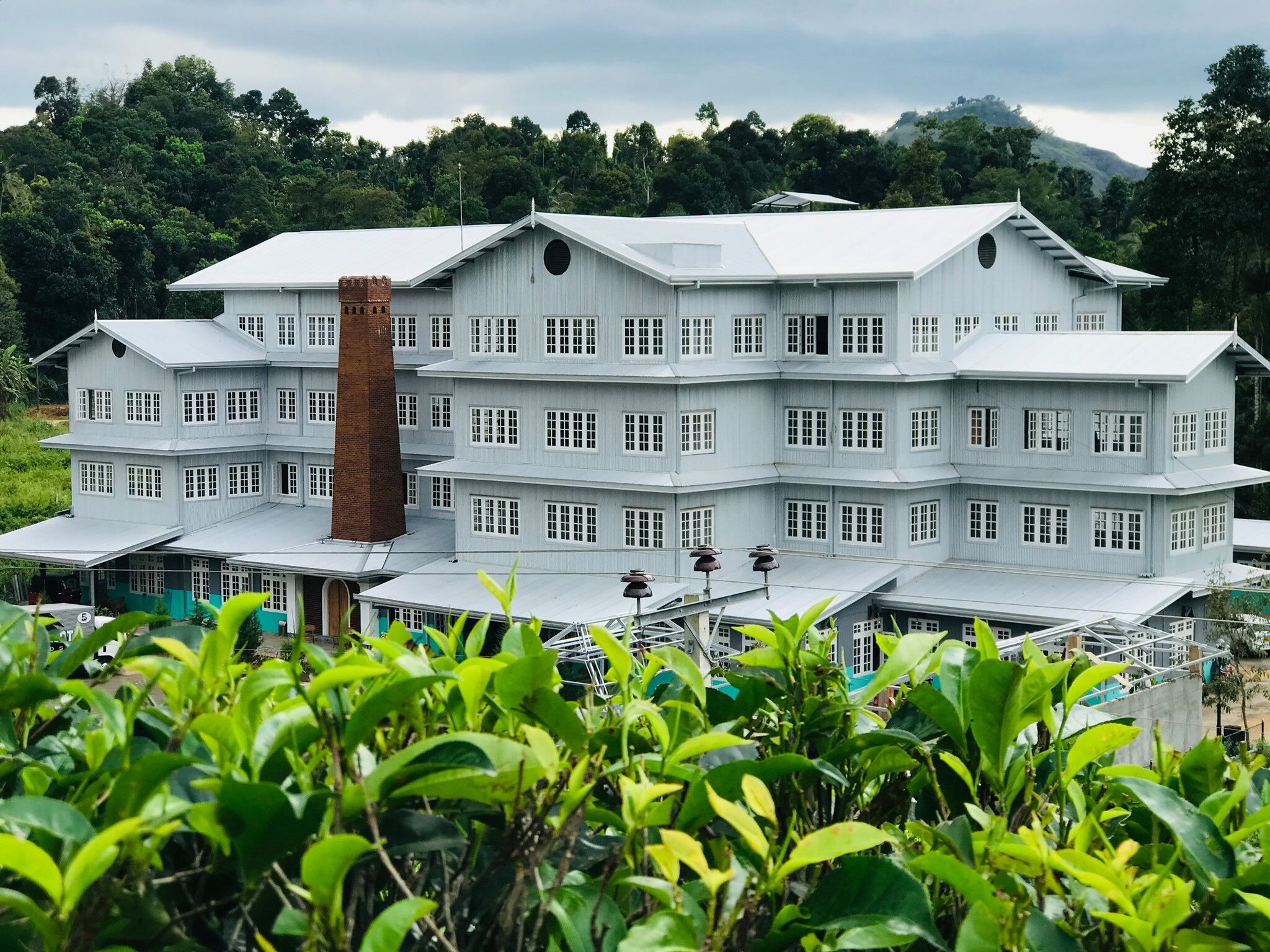 giragama tea factory far view within tea plants