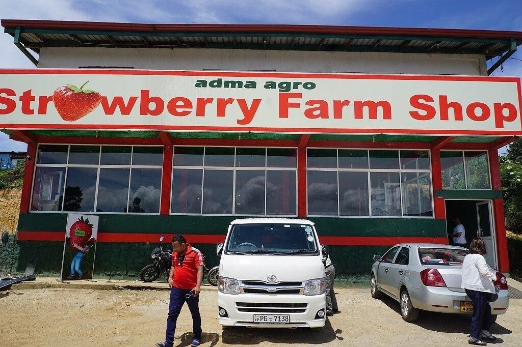 Adam Agro strwberry farm Shop