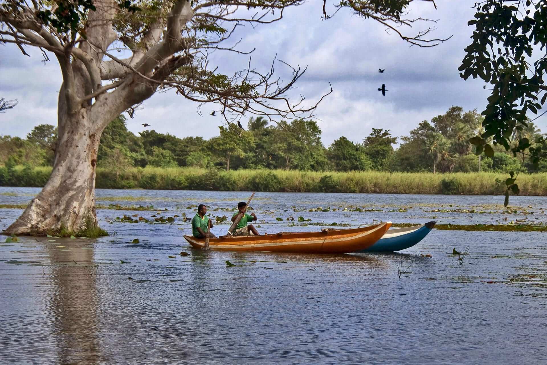 habarana lake boats