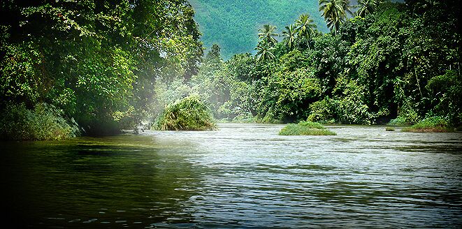 kelani river view