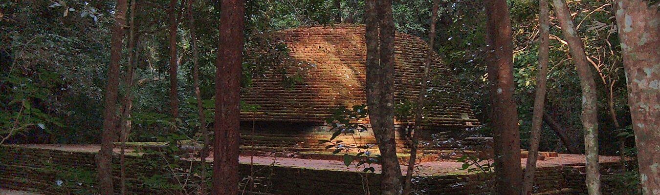 Namal uyana stupa inside the forest