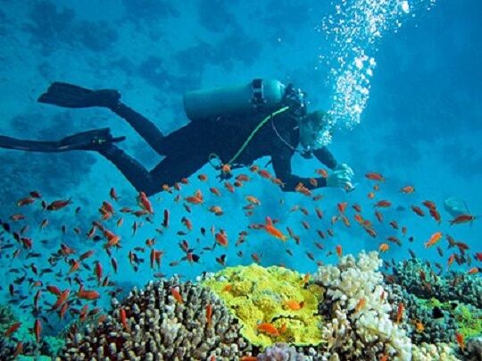 diving and snorkling  koggala photo