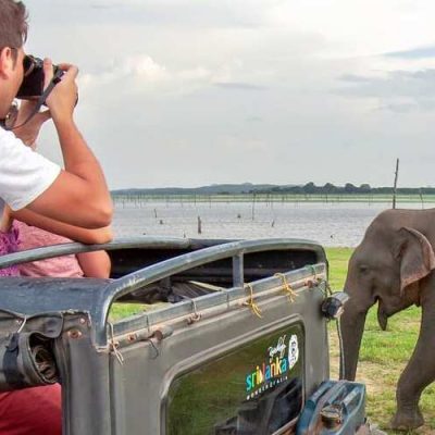 Kaudulla Private Half Day (4 hours) Safari