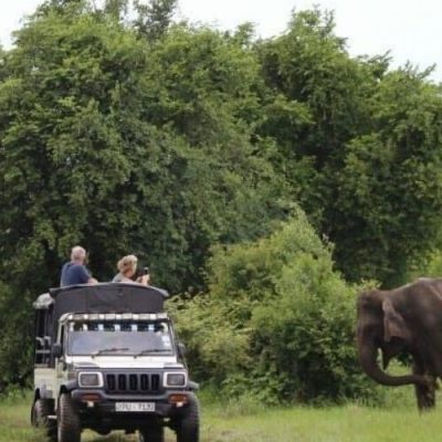 Kaudulla National Park Private Full Day Safari