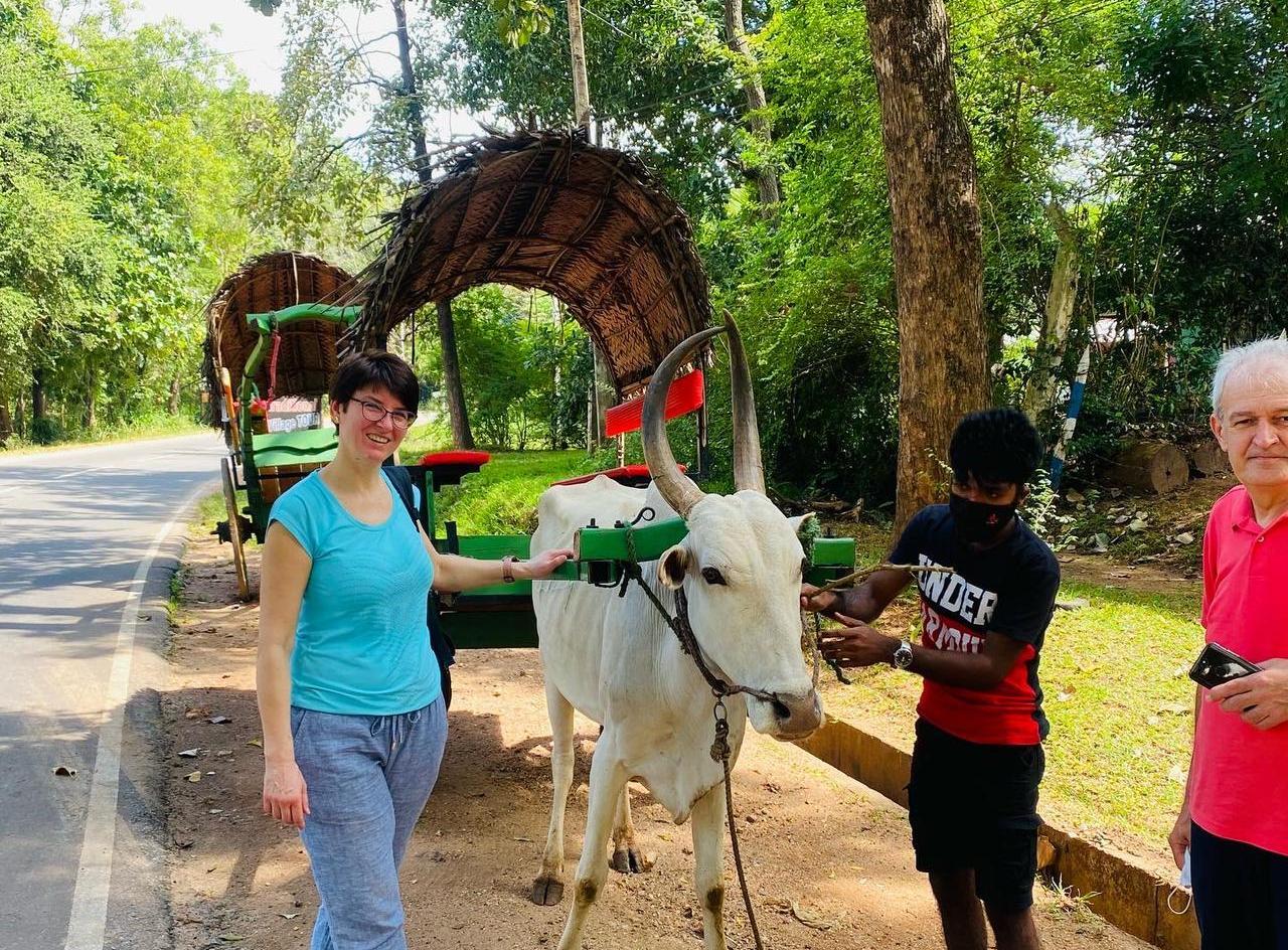 Cart Riding at Sigiriya Village Tour Cart Riding at Sigiriya Village Tour