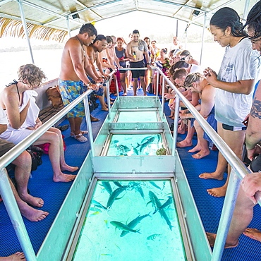 Glass Bottom Boat Ride at Hikkaduwa Glass Bottom Boat Ride at Hikkaduwa
