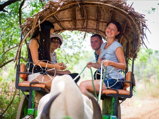 Bullock Cart Riding at Sigiriya Village Tour Bullock Cart Riding at Sigiriya Village Tour