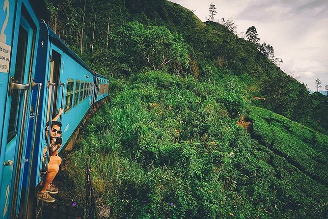 Beautiful Train Ride at Ella Beautiful Train Ride at Ella