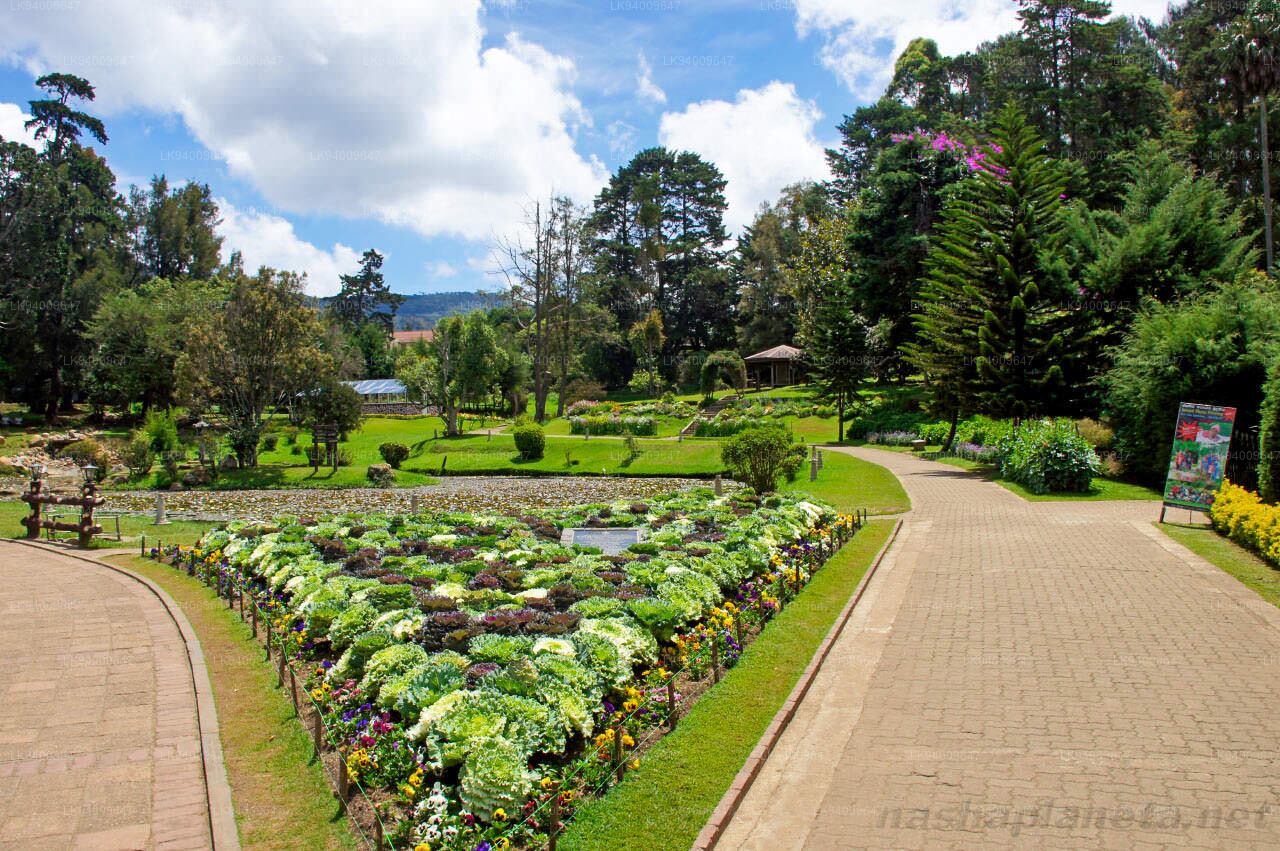 Victoriya Park at Nuwara Eliya Victoriya Park at Nuwara Eliya