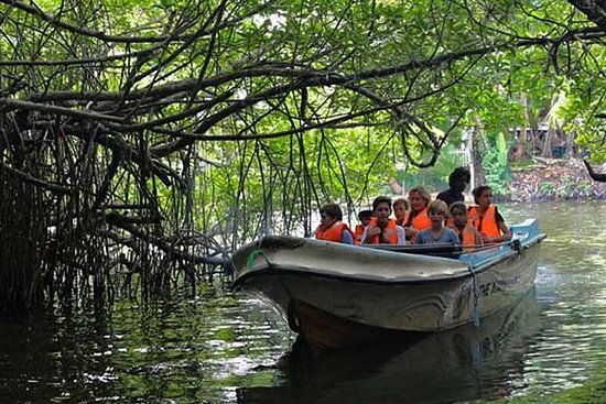 MaduRiver Boat Ride in the Evening MaduRiver Boat Ride in the Evening