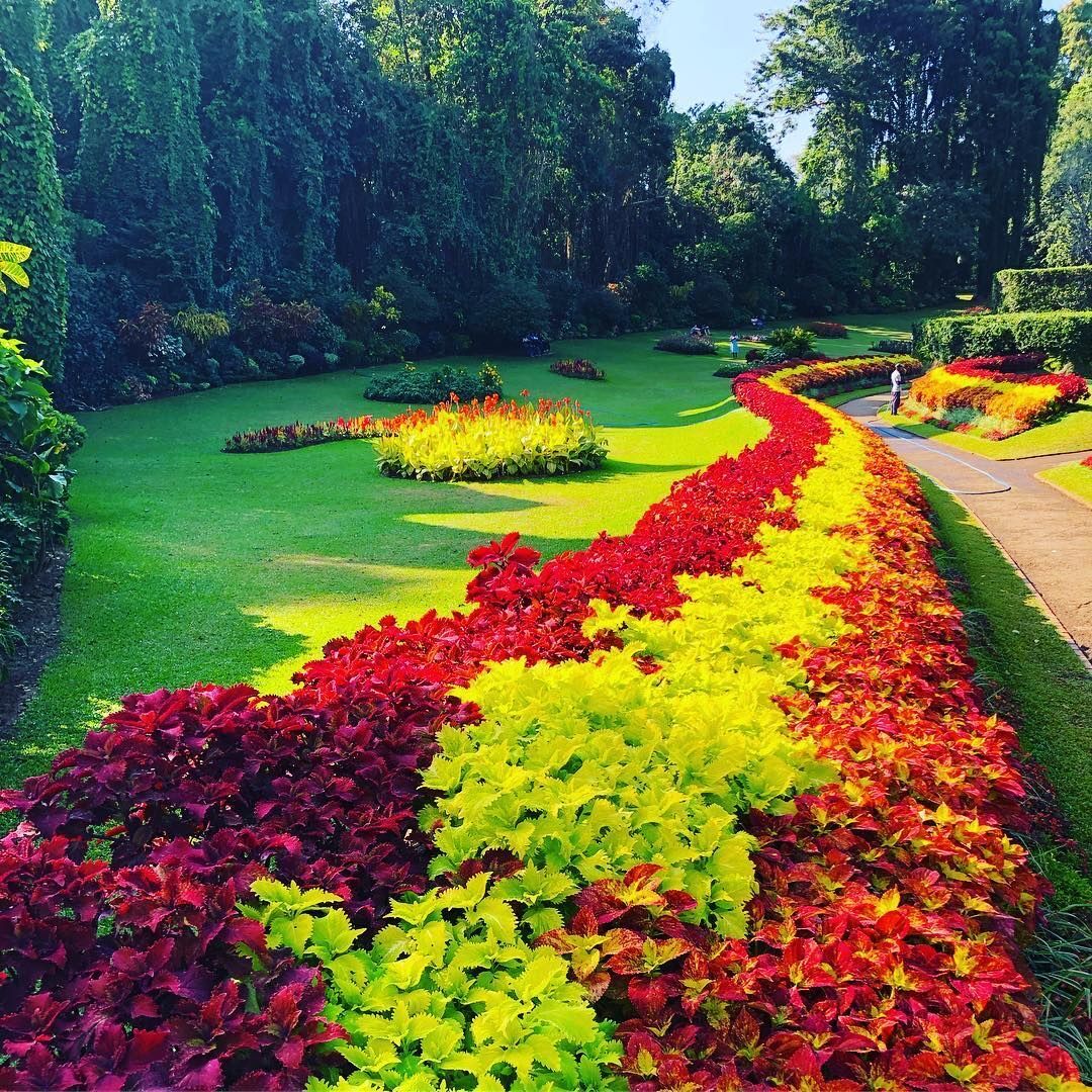 Flower Garden at Peradeniya Flower Garden at Peradeniya