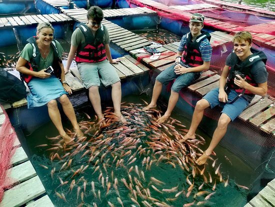 fish-spa-at-madu-river The Hamilton Canal at Negombo