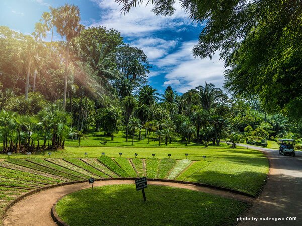 Peradeniya Botanical Garden Peradeniya Botanical Garden