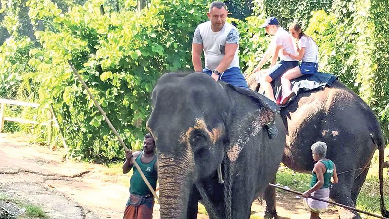 Elephant Back Riding Elephant Back Riding