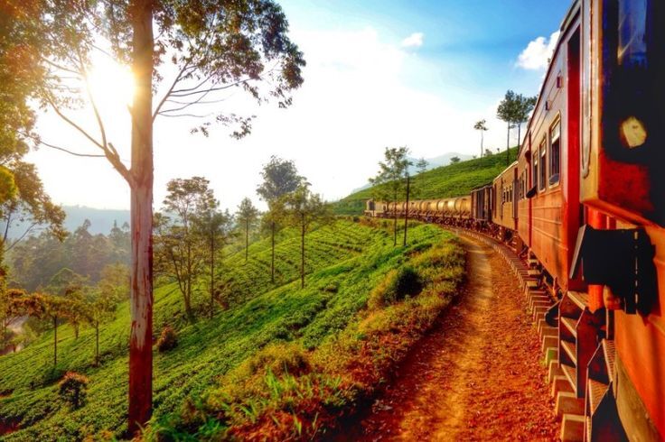 703fbc71f71b364ef873e1d0e3b85a8a--nuwara-eliya-train-rides
