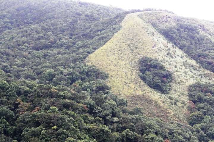 Hakgala_Strict_Nature_Reserve_1