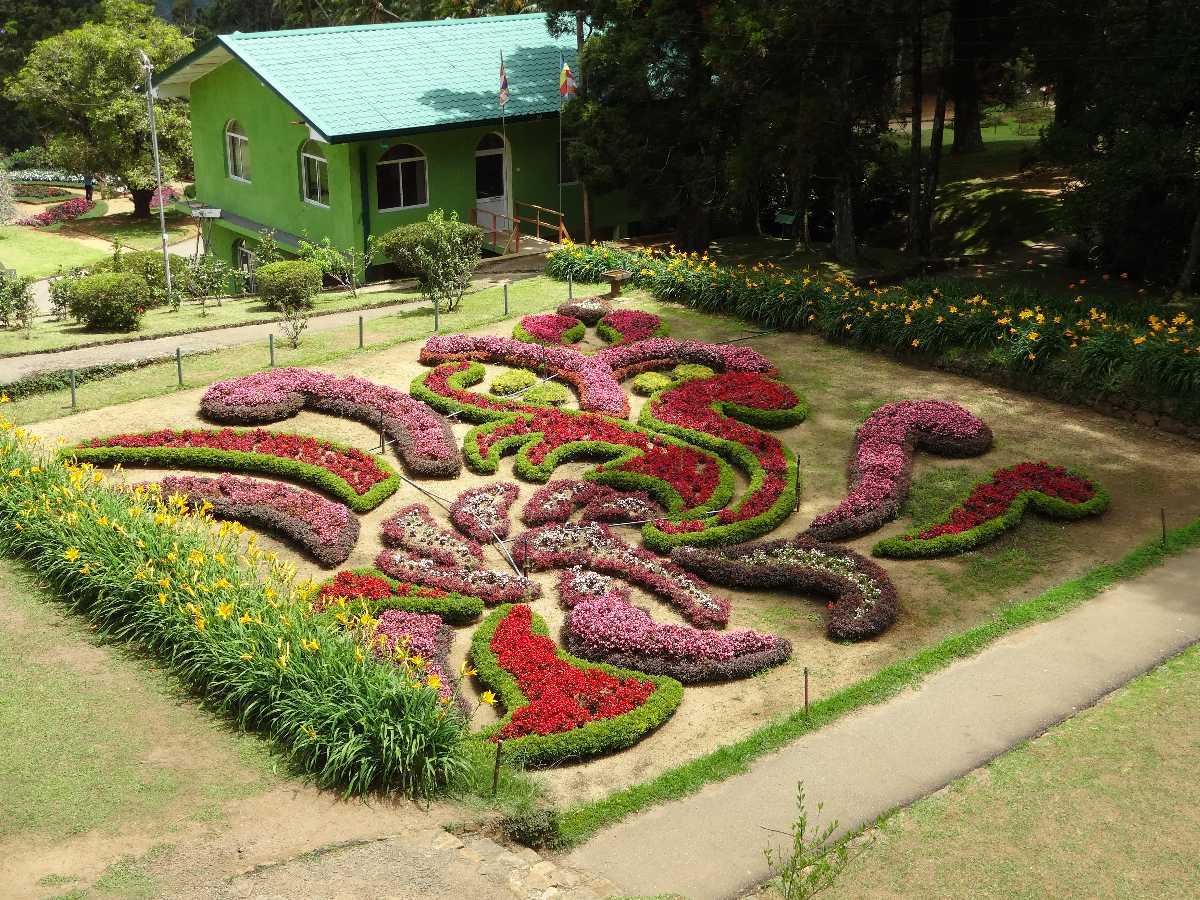 Hakgale_botanical_garden_2017-10-23_18_20220808153814