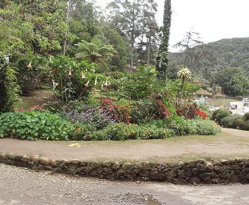hakgala-botanic-gardens