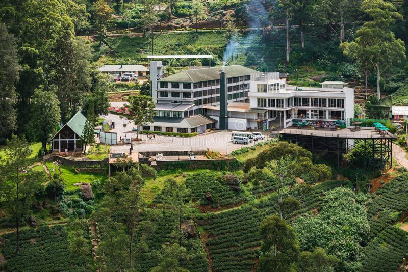 labookellie-sri-lanka-september-damro-tea-factory-close-to-nuwara-eliya-219336657 (1)