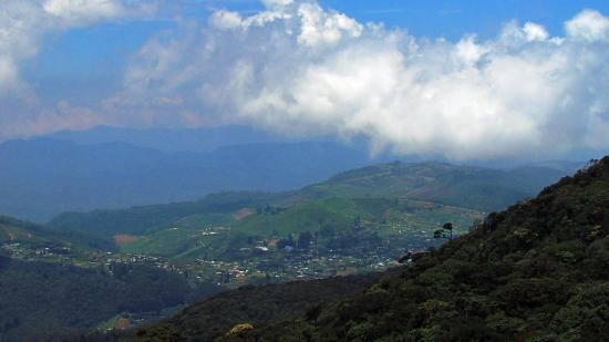 pidurutalagala