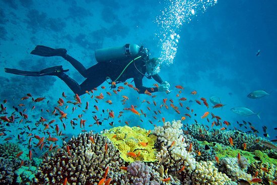 scuba-diving-the-best (1)