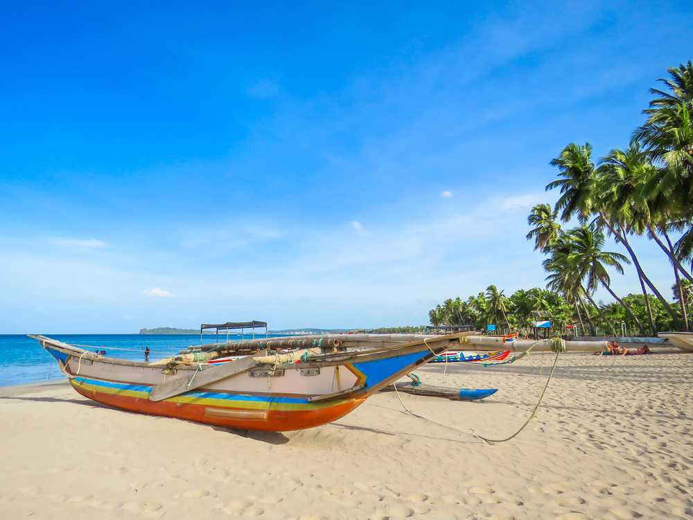 shutterstock_561172399_20191113111855