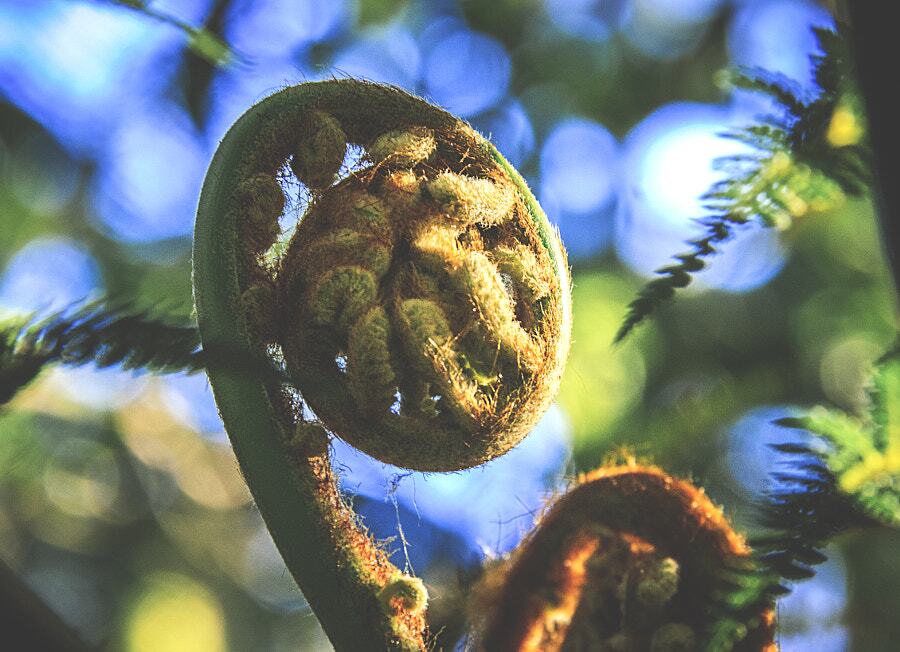 stock-photo-205335239