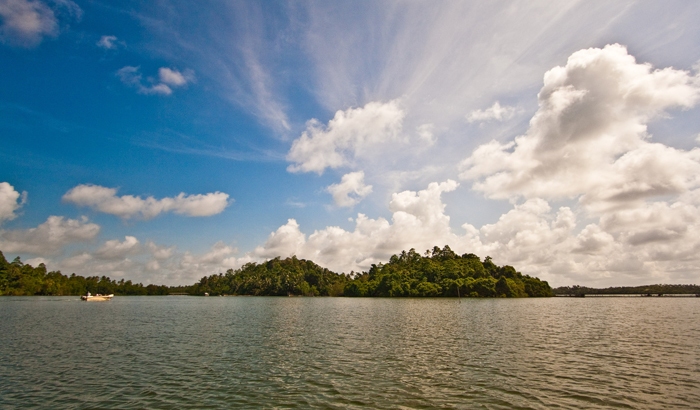 Cinnamon-Island-Pranav-Bhasin