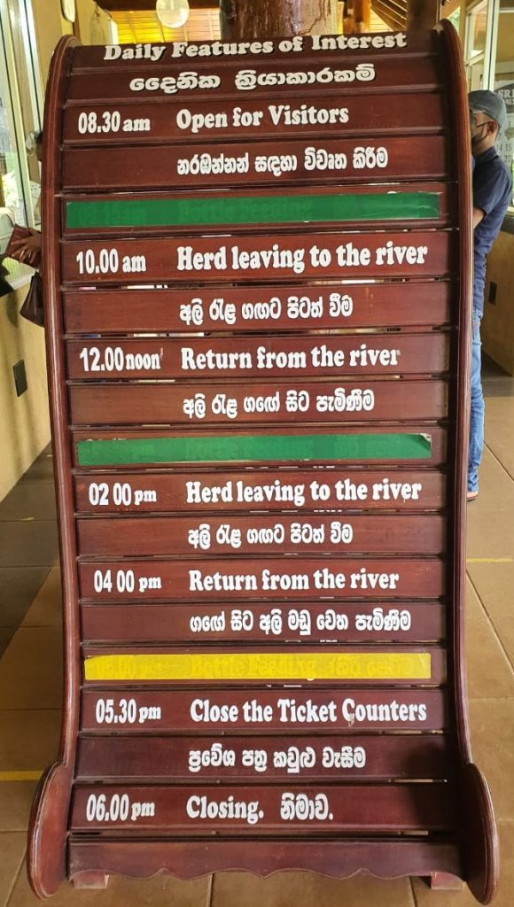 Pinnawala elephant orphanage day schedule Pinnawala elephant orphanage day schedule
