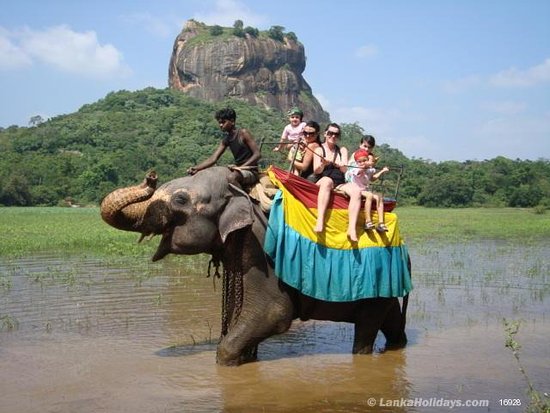 Sigiriya Elephant back Riding Sigiriya Elephant back Riding