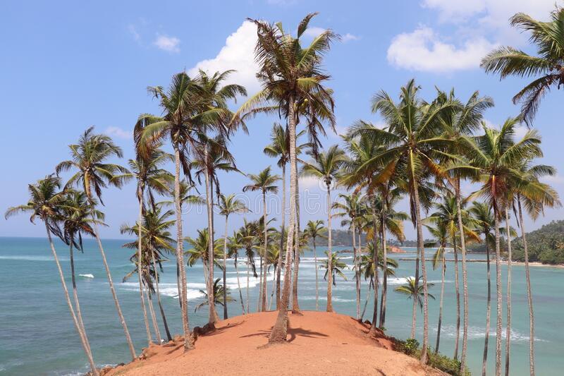 picturesque-coconut-hill-southern-coast-ceylon-sri-lanka-very-photogenic-place-trees-beautiful-indian-ocean-185631977