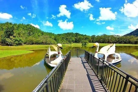 boat ride seethawaka garden boat ride seethawaka