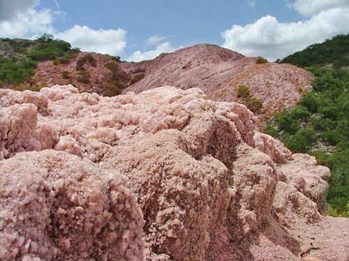 rosa thiruwana rosa thieuwana rock