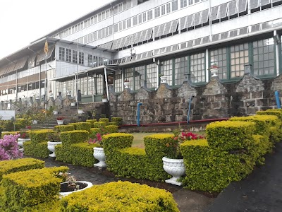 dambathenne factory outside dambatenne tea factory out look