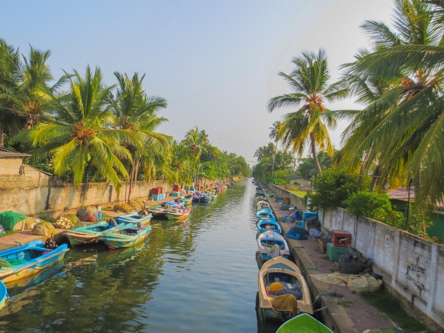 hamilton canal negombo boats hamilton canal negombo boats