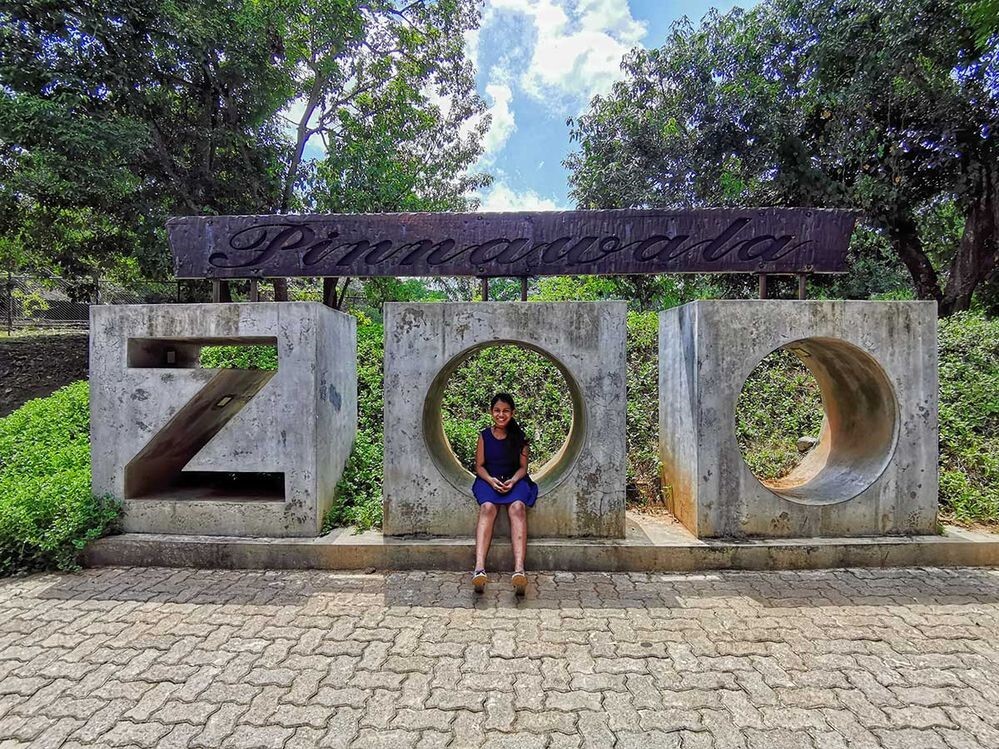 Pinnawala zoo entreance outside