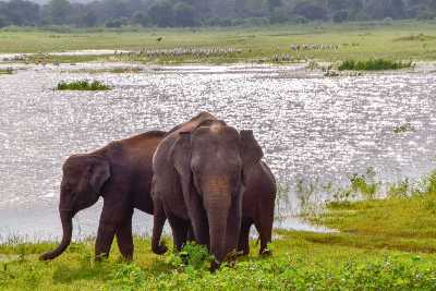 LUNUGAMVEHERA-NATIONAL-PARK