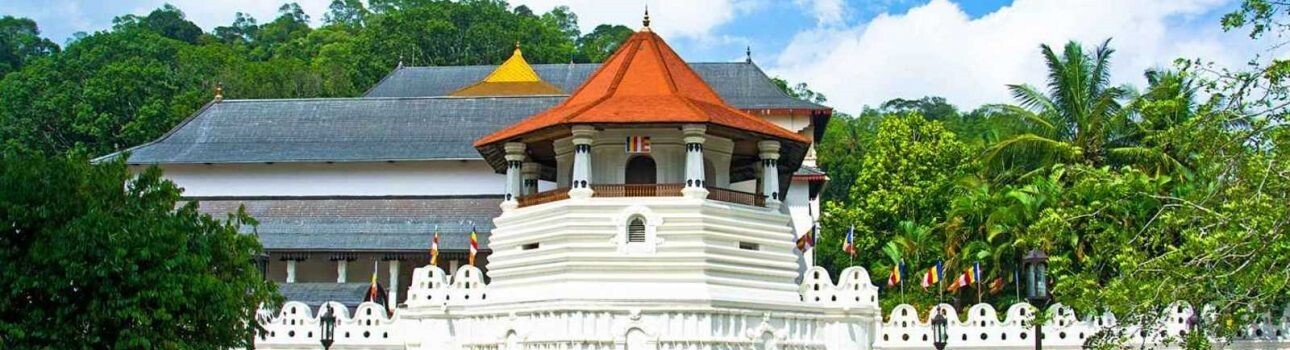 tooth relic temple footer tooth relic temple footer