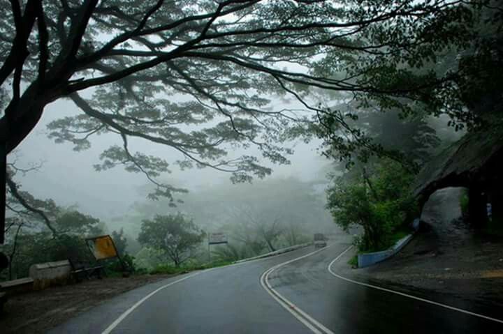 kadugannawa road with fog kadugannawa road with fog