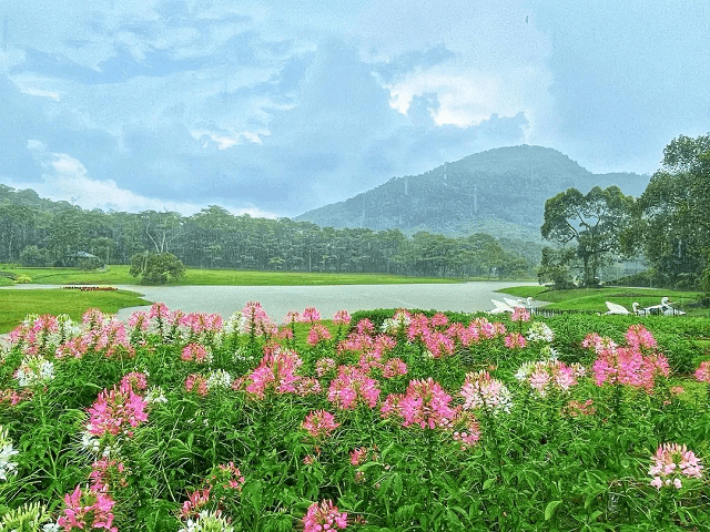 seethawaka botnical garden lake seethawaka botnical garden