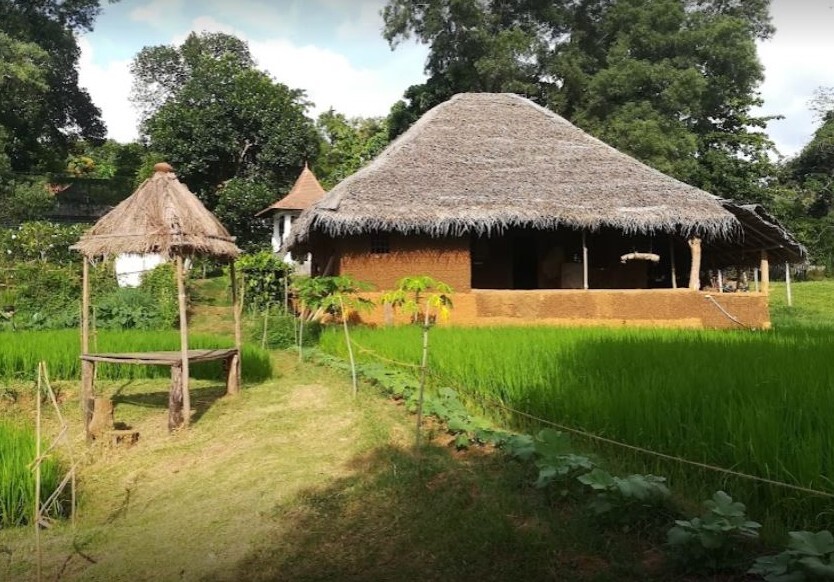house in iperanigama pinnawala House near paddy field of a ape gama pinnawala